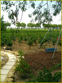 The Pool Area: image 6 of 7