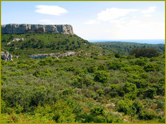 Local Beauty Spots: image 2 of 7