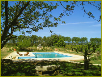 The Pool Area: image 3 of 7